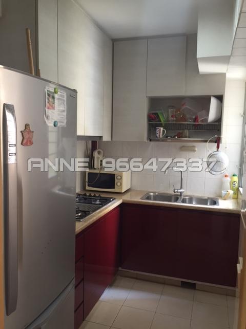 Blk 515C The Premiere @ Tampines (Tampines), HDB 5 Rooms #168032162